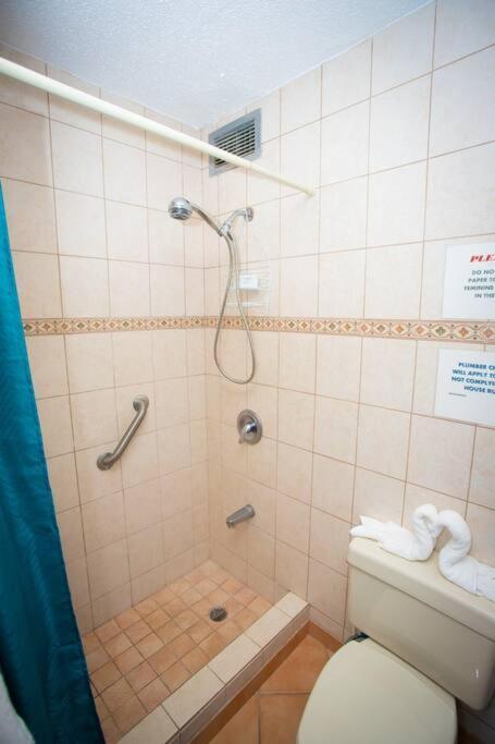 Enchanted Jewel 39 Beachfront Pool Luquillo Εξωτερικό φωτογραφία